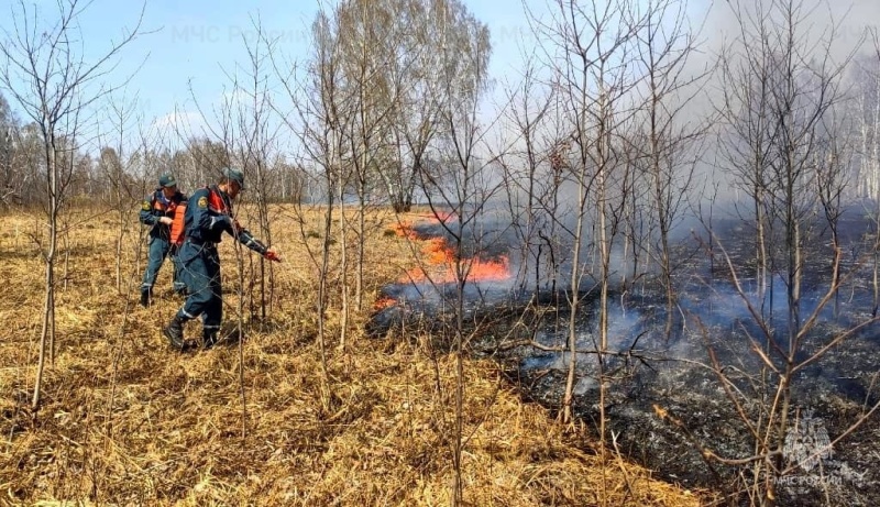 Особый противопожарный режим продлён до 23 мая в Новосибирской области. ИА Горсайт. 10.05.2023