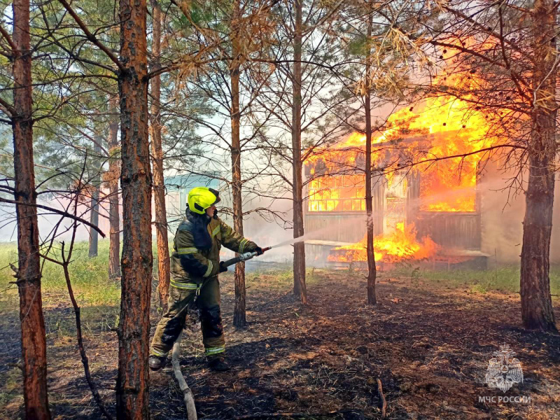 Пожарные ликвидировали свыше 410 возгораний и спасли 10 человек за неделю в Новосибирской области